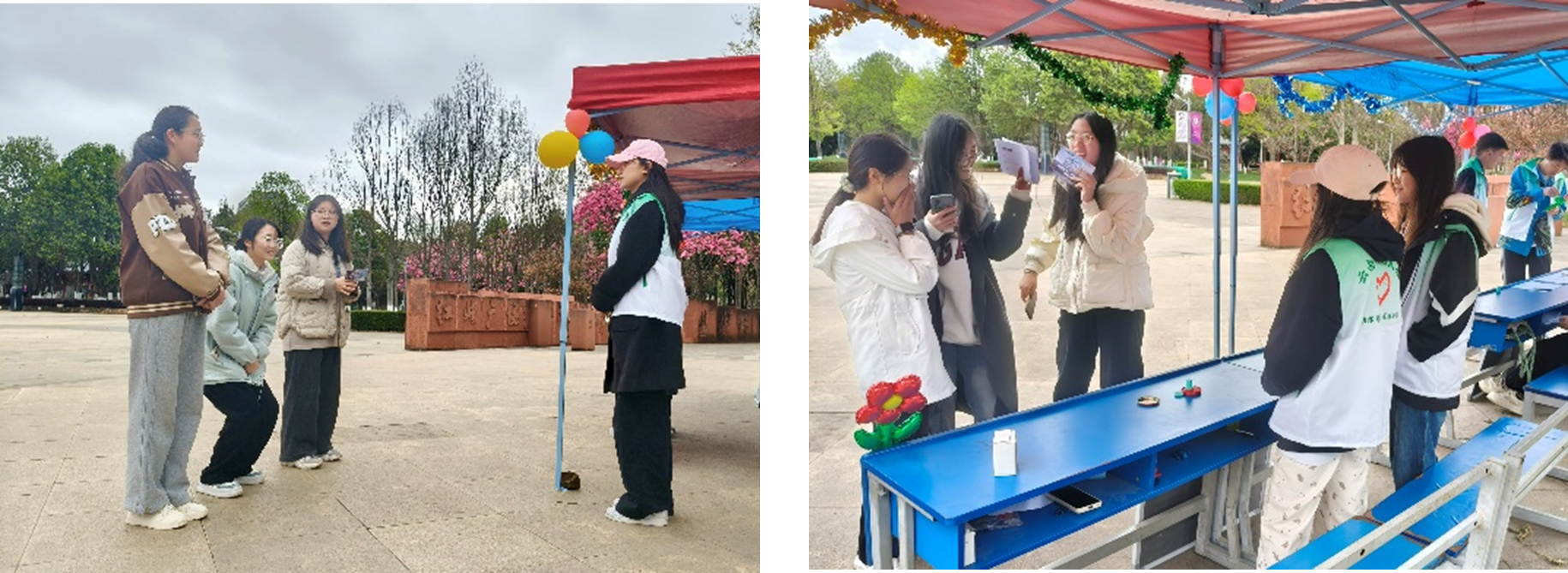 1744080696912531.png 图片6.png